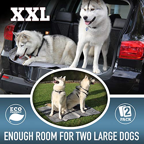 Washable Pee Pads for Dogs XXL (2 Pack), Reusable Puppy Training Pads, Ultra Absorbent & Waterproof Pet Mat for Senior Dogs, Non-Slip, Floor & Furniture Protector (36"x48") by Trendy Den Creations