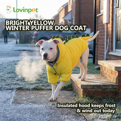 LovinPet Dog Warm Coat with Hood – Medium & Large Dinosaur Hoodie Winter Jacket for Cold Weather, Yellow & Green Coat for Large Dogs, XXXL - size: XXX-Large