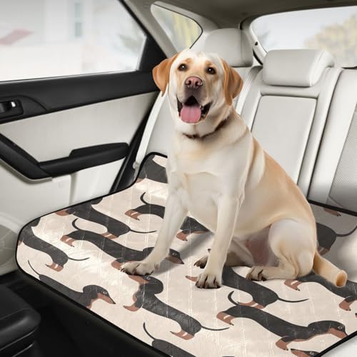 Qilmy Dachshund Dog Pet Mat, Waterproof Reusable Dog Training Pad Anti-Slip Pet Creat Pad for Small Medium Large Dogs and Cats - size: Medium+Large