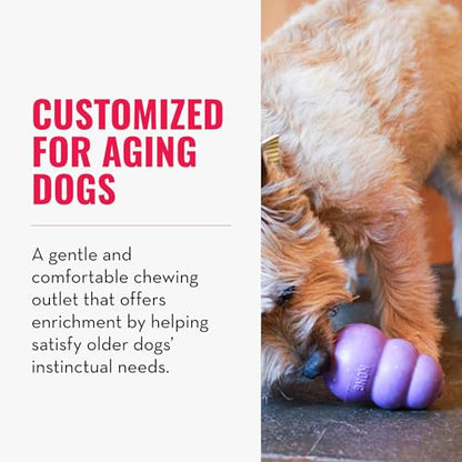 KONG Senior - Dog Toy with Gentle, Natural Rubber - Durable Dog Toy for Older Dogs - Use Treats with Stuffable Chew Toy - Treat Toy for Chewing & Fetching - for Small Dogs (Pack of 2) - size: Small(2-Pack)