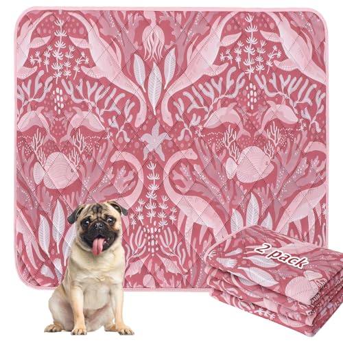 BVAGSS Washable Pee Pads for Dogs, 2 Pack Reusable Leakproof Puppy Wee Wee Pad, Non-Slip Waterproof Pet Training Pads, Super Absorbent Whelping Pads XH081 (Dino Pink, 30X20 Inch (Pack of 2)) - color: Dino Pink, size: 30X20 Inch (Pack of 2)