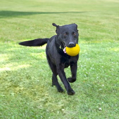 Chew King Flavored Rubber Ball Collection, 4 Inch Chicken Flavor Rubber Fetch Balls 2-Pk - color: M) 4" 2-Pack (Chicken)