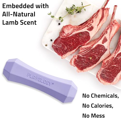 Playology Dog Toys | Squeaky Chew Stick for Large Dogs | Lamb Scented Jumbo Fetch Toy | Squeaky Dog Chew Toy - size: Jumbo, style: Lamb