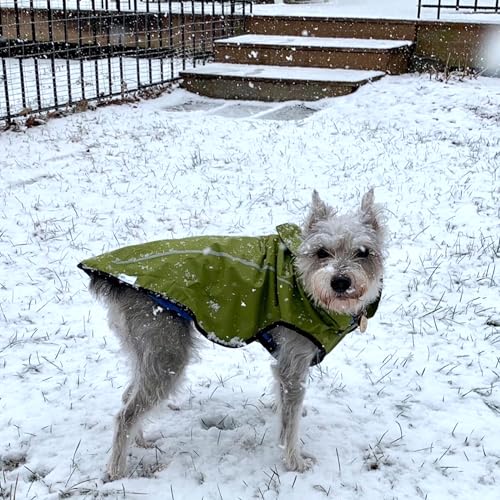 Mile High Life Dog Raincoat, Adjustable Waterproof Reflective Rain Jacket for Small Medium Large Dogs, Lightweight Breathable Pet Rain Coat with Leash Hole(Lime Yellow,XS Chest 17-23") - color: Lime Yellow, size: XS Chest 17"-23"