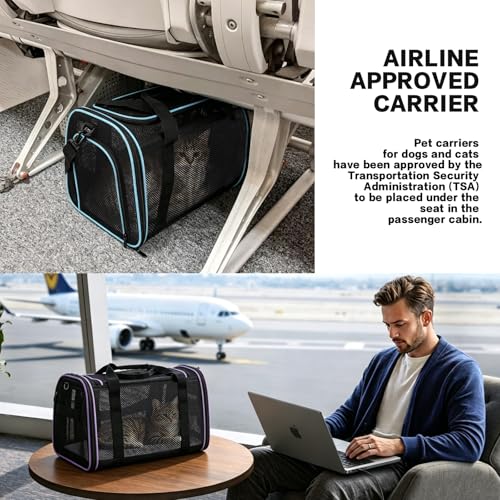 Cat Carrier, Soft-Sided Pet Carrier Bag, Breathable Mesh, Black (Purple, 17 * 11 * 11) - color: purple, size: 17.0"L x 11.0"W x 11.0"H