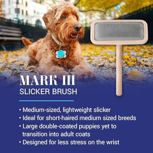 Chris Christensen Mark III Slicker Brush for Dogs, 12mm Pins, Groom Like a Pro, Handcrafted Lightweight Beechwood Ergonomic Handle, Stainless Steel Pins, A5III Medium. Made in Germany. - size: Mark III Medium
