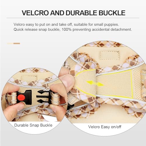 Mercano Soft Mesh Dog Harness and Leash Set, Step-in Reflective Breathable Lightweight Vest Harnesses with Safety Buckle for Small Dogs, Cats (Beige, XXS) - color: Beige, size: XXS (Chest: 9.5"-11.2")