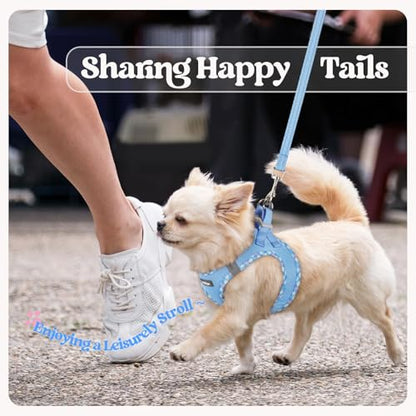 rabbitgoo Dog Harness Small Sized and Leash Set, Step in Soft Light Puppy Vest, Breathable Mesh Pet Harness, Reflective for Safe Easy Walking, Blue & Plaid Trim XXS - color: Blue & Plaid Trim, size: Xxs (chest: 12.4 - 14.2")