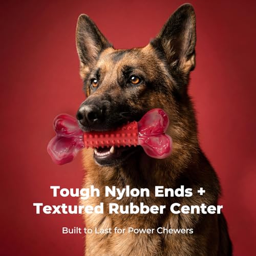 3-Pack Tough Dog Toys for Aggressive Chewers: Beef Flavored Long Lasting Dog Bones for Large Dogs, Heavy Duty Nylon & Rubber Dog Chew Toys to Keep Them Busy, Medium & Large Breed, Red - color: 3 PC-Beef-Red