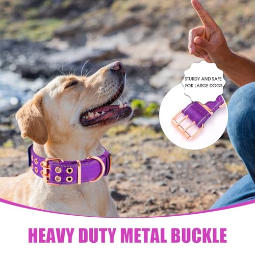 Heavy Duty Tactical Dog Collar with Neoprene Padded and Metal Buckle, Reflective Nylon for Medium to Large Dogs(Purple, X-Large) - color: Purple, size: X-Large (Pack of 1)