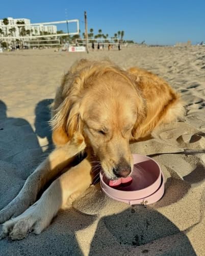 Barkin’ Trails Travel Dog Bowls, Portable Outdoor Water, BPA-Free Water Bowl Set, Food Grade Plastic Dog Travel Bowl, Dog Camping Essentials, Travel Container - color: Blush