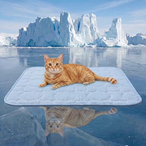 Pet Cooling Mat for Dogs, Breathable & Washable Cat Cooling Mat, Thin & Portable Dog Bed for Crate Kennel Car Sofa Floor, Q-Max>0.4 Indoor Outdoor Summer Use, 24x18, Blue - size: 24" x 18" (S)