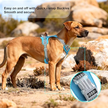No Pull Dog Harness – Adjustable Reflective Nylon Vest for Small Medium Large Dogs, Escape Proof Training Harness with Leather Control Handle, Lightweight Aluminum Hardware (Cyan, L) - color: Cyan, size: L