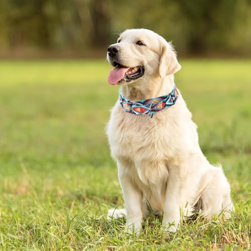 Personalized Custom Customized Engraved Training Martingale Dog Collars with ID Name and Phone Number Buckle for Small Medium Large Dogs