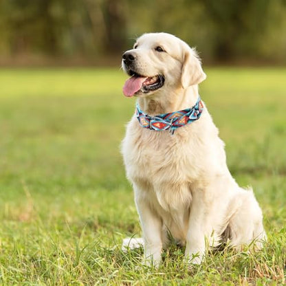 Personalized Custom Customized Engraved Training Martingale Dog Collars with ID Name and Phone Number Buckle for Small Medium Large Dogs