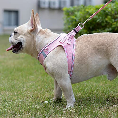 Mercano Soft Mesh Dog Harness and Leash Set, Step-in Reflective Breathable Lightweight Vest Harnesses with Safety Buckle for Small Dogs, Cats (Pink, M) - color: Pink, size: M (Chest: 15.2"-17.5")