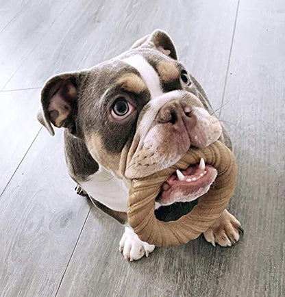 Pet Qwerks Chew Ring BarkBone - Durable Dog Toys for Moderate & Aggressive Chewers - Peanut Butter Flavor - 5.75" (Pack of 3) - size: 5.75" (Pack of 3)