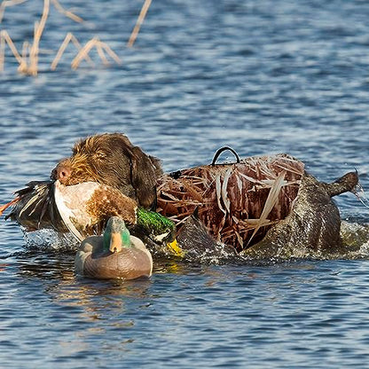 AUSCAMOTEK Neoprene Dog Vest for Duck Hunting - Insulated Camouflage Vest for Waterfowl Retriever - size: XL