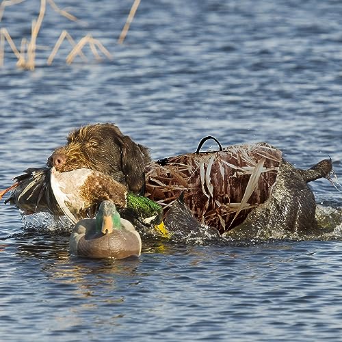 AUSCAMOTEK Neoprene Dog Vest for Duck Hunting - Insulated Camouflage Vest for Waterfowl Retriever - size: XXL