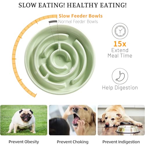 Ceramic Slow Feeder Dog Bowl,1.5 Cups Pet Slow Feeder for Small and Medium Breed,Puzzle Dog Food Dish,Anti-Gulping,Stop Bloat,Preventing Choking - color: Green - A