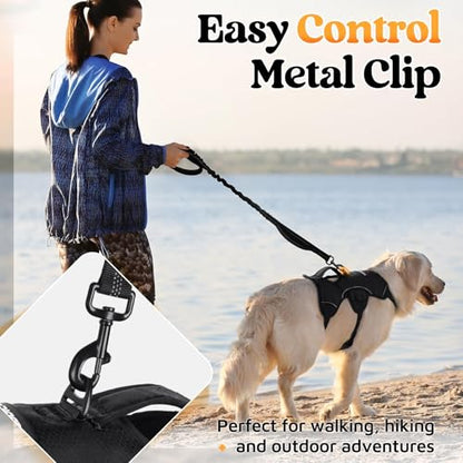 rabbitgoo Escape Proof Dog Harness, Soft Padded Full Body Pet Harness, Reflective Adjustable No Pull Vest with Lift Handle and Leash Clip for Large Dogs Walking Hiking Training, M, Black - color: Black, size: Medium (Pack of 1)