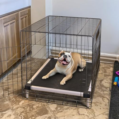 FXW TitanNest Chew-Proof Elevated Dog Bed, Raised Cot for Indoor/Outdoor/Camping Use, Durable & Waterproof Cooling Pet Bed for Small Dogs, 35.0" L x 22.0" W x 4.5" H, Black - size: Small Dog (35.0"L x 22.0"W x 4.5"H)