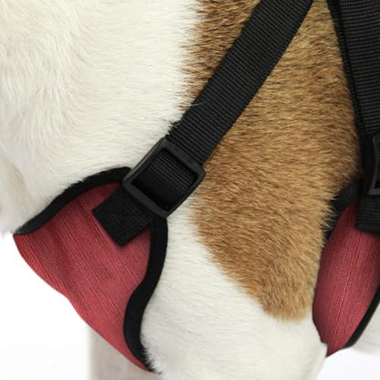 AKC Striped Step-in Dog Harness – No Pull Adjustable Vest with Dual D-Rings, Easy On/Off – Small, Medium & Large Sizes in Black, Gray, Navy & Red - color: Red, size: Large