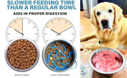 Slow Feeder Dog Bowl Insert – Silicone Anti-Choke Design with Suction Cups | Fits Most Bowls | Includes 3 Finger Toothbrushes for Pet Dental Care | Blue, Pink, Black - color: Blue