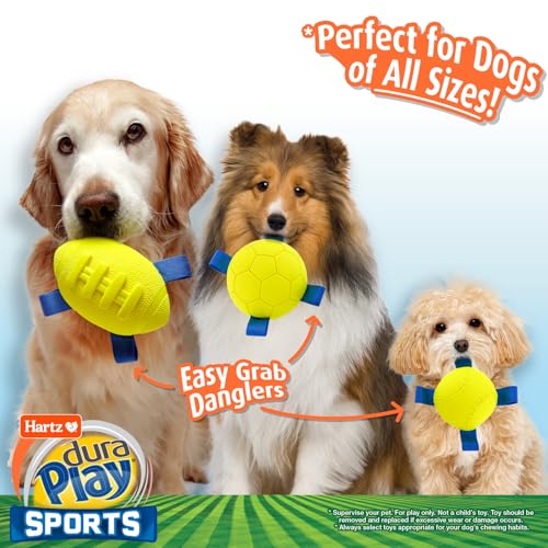 Hartz Dura Play Sports Ball Variety Dog Toy, Bacon Scented Squeaky Latex Yellow & Blue Toy, 3 Count - size: 3 Count, style: Variety