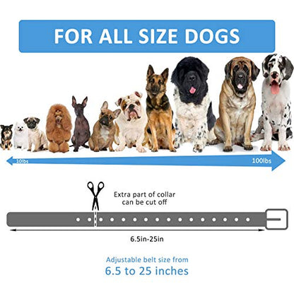 Replacement Collar Strap, Compatible with Petsafe,PATPET,Sportdog,Garmin,Dogtra,etc Most Training Collar/Fence Reciever, 3/4',Adjustable,Metal Buckled,Waterproof (Cyan Pack2) - color: Cyan