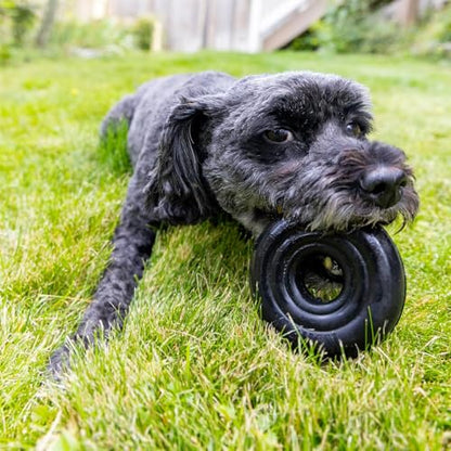KONG Extreme Donut Dog Toy – Toughest Durable Natural Rubber Chew Toy for Power Chewers – Safe on Teeth & Gums, Fun Bounce & Roll for Indoor and Outdoor Play (Small/Medium) - size: (Small/Medium)