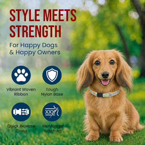 THE WORTHY DOG Spring Holiday Easter Eggs Dog Collar – Durable Nylon, Woven Ribbon, Quick-Release Buckle, Nickel D-Ring – Blue, Small - color: Easter Eggs - Blue, size: Small
