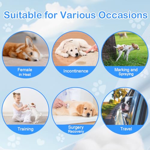 90 Count Dog Diapers Male, Disposable Small Male Dog Wraps Super Absorbent Puppy Doggie Diapers for Heat Excitable Urination Incontinence Waist 11-16.5 inch Small Dog - Blue