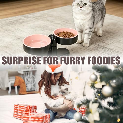 Elevated Cat Bowls, Raised Cat Food and Water Bowl Set with Removable Double Dishes, Adjustable Tilt Stand, Suction Cup Base, Dishwasher Safe Pet Feeder for Cats, Kittens, Small Dogs, Pink
