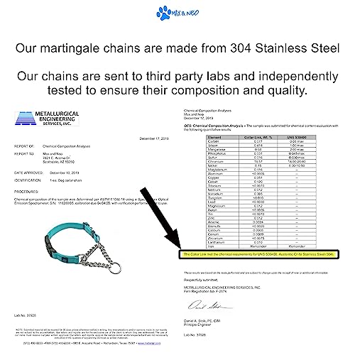 Max and Neo Stainless Steel Chain Martingale Collar - We Donate to a Dog Rescue for Every Collar Sold (Medium, Teal) - color: TEAL, size: Medium