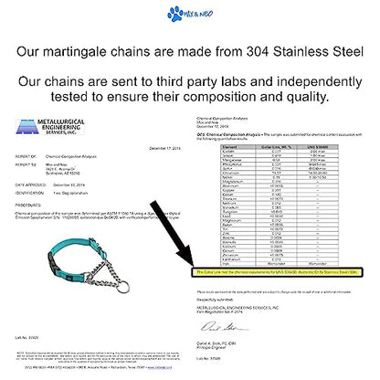 Max and Neo Stainless Steel Chain Martingale Collar - We Donate to a Dog Rescue for Every Collar Sold (Medium, Teal) - color: TEAL, size: Medium