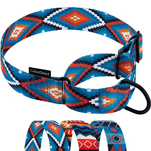 CollarDirect Martingale Dog Collar Heavy Duty Nylon Slip Collars for Small Medium Large Dogs [Nylon, Patterned, Blue Geometric, L, 15"-20"] - color: Blue Geometric, size: Large (Neck Size 15"-20")