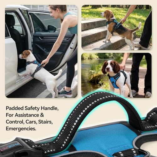 PHOEPET No Pull Dog Harnesses for Small Puppies Reflective Adjustable Front Clip Vest with 2 Metal Leash Attachment Hooks Soft Handle(S, Blue) - color: Blue, size: Small