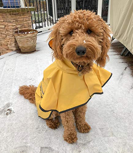 SPOT Rainy Days Slicker - Yellow Dog Rain Jacket With Hood, Reflective Strip for Safety, Leash Hole & Adjustable Velcro Belly Strap, 100% Polyester Water Resistant Pet Raincoat - X-Small, 8in Long - size: X-Small