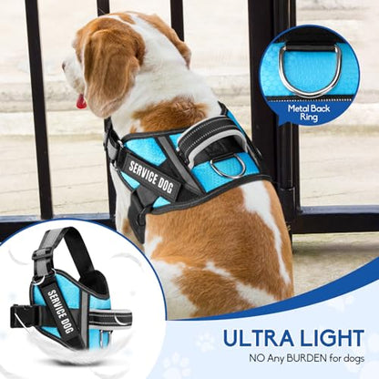 Service Dog Vest Harness and Leash Set, Animire in Training Dog Harness with 10 Dog Patches, Reflective Dog Leash with Soft Padded Handle for Small, Medium, Large, and Extra-Large Dogs - color: Light Blue, size: XXS