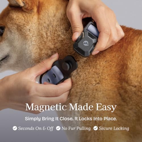 Fei & Eve VERO Dog Collar, Twilight Gray, Medium | MagEase Magnetic Buckle, Waterproof PVC, Odor Resistant, Easy Clean, Heavy Duty - color: Twilight Gray, size: M