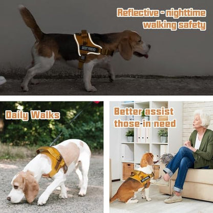 AUROTH Dog Harness and Leash Set, Soft Padded Service Dog Vest with 5.25FT Dog Leash, No Choke, Easy On Pet Vest, Adjustable Reflective No Pull Dog Harness Small Sized Dog, Easy Walking and Training - color: Turmeric, size: Small