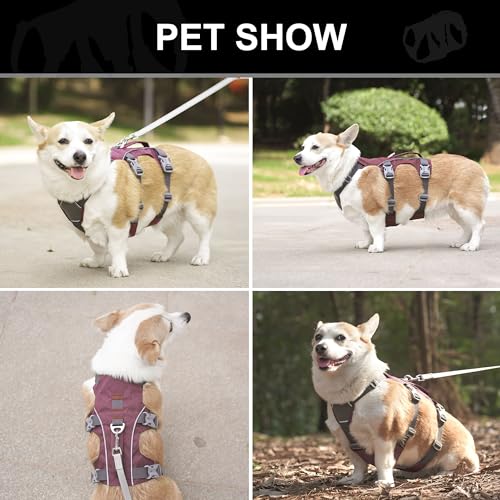 Escape Proof Dog Harness with Handle - Reflective No Pull Dog Vest, Lightweight Full Body Pet Harness Adjustable for Small Dogs Walking,Training(Maroon,Chest:14-22") - color: Maroon, size: XS: Chest 14-22", Fit 8-12 lbs