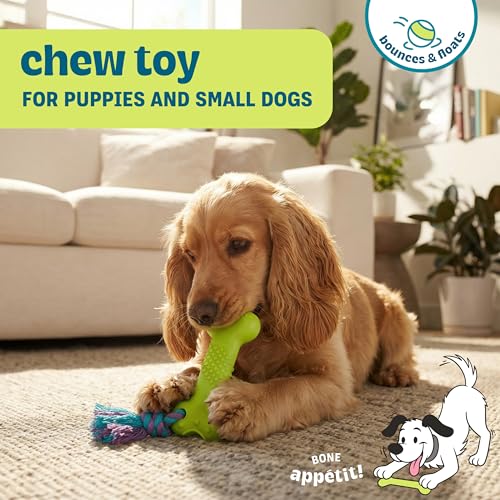 Bone Mini Dog Chew Toy & Treat Stuffer for Teething Puppies & Small Dogs up to 20 lbs, Bounces & Floats, Textured for Dental Support, Moderate Chewers, 5.5" (Pack of 4) - size: Mini (Pack of 4)