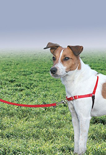 PetSafe Easy Walk No-Pull Dog Harness - Ultimate Harness to Help Stop Pulling - Pull-Free Walks - Take Control & Teach Better Leash Manners - Patented Martingale Loop Design - Red, Small/Medium - color: Red/Black, size: Small/Medium