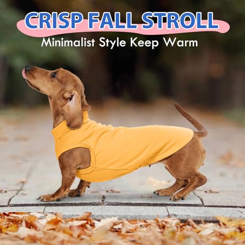 Dog Fleece Vest - Yellow, S - Warm and Stretchable Sweatshirt | Sleeveless Lightweight Sweater, Pullover Design for Small Dogs, Chihuahua Clothes, Papillon, Pomeranian - color: Yellow, size: Small