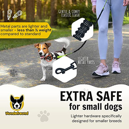 Hundefreund Hands-Free Dog Leash for Small Dogs 10 to 30 lbs - Lightweight Waist Leash with Bungee (43–63"), Padded Belt (26–47") & Pouch – Dual Handles, Reflective Stitching for Walking & Jogging