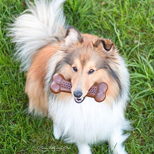 Pet Qwerks Barkbone Flavorit Peanut Butter Flavor Bone - Fillable Surface for Spreads; Tough Durable Toys for Aggressive Power Chewers | Made in USA - Medium & Small Dogs - size: Medium