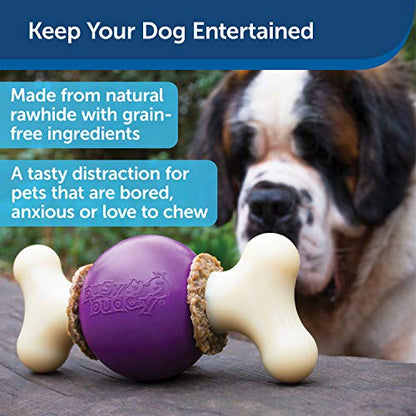 PetSafe Busy Buddy Bouncy Bone, Treat Holding Dog Toy, Medium/Large, Best for Dogs 50-90 Lb.