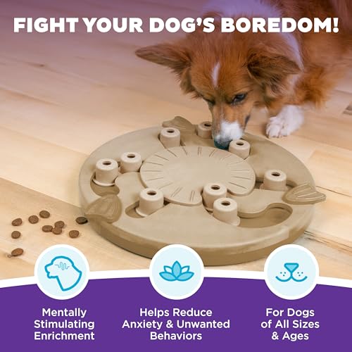 Outward Hound by Nina Ottosson Dog Worker Treat Puzzle Enrichment Toy, Level 3 Advanced, Tan - color: Dog Worker (Tan)